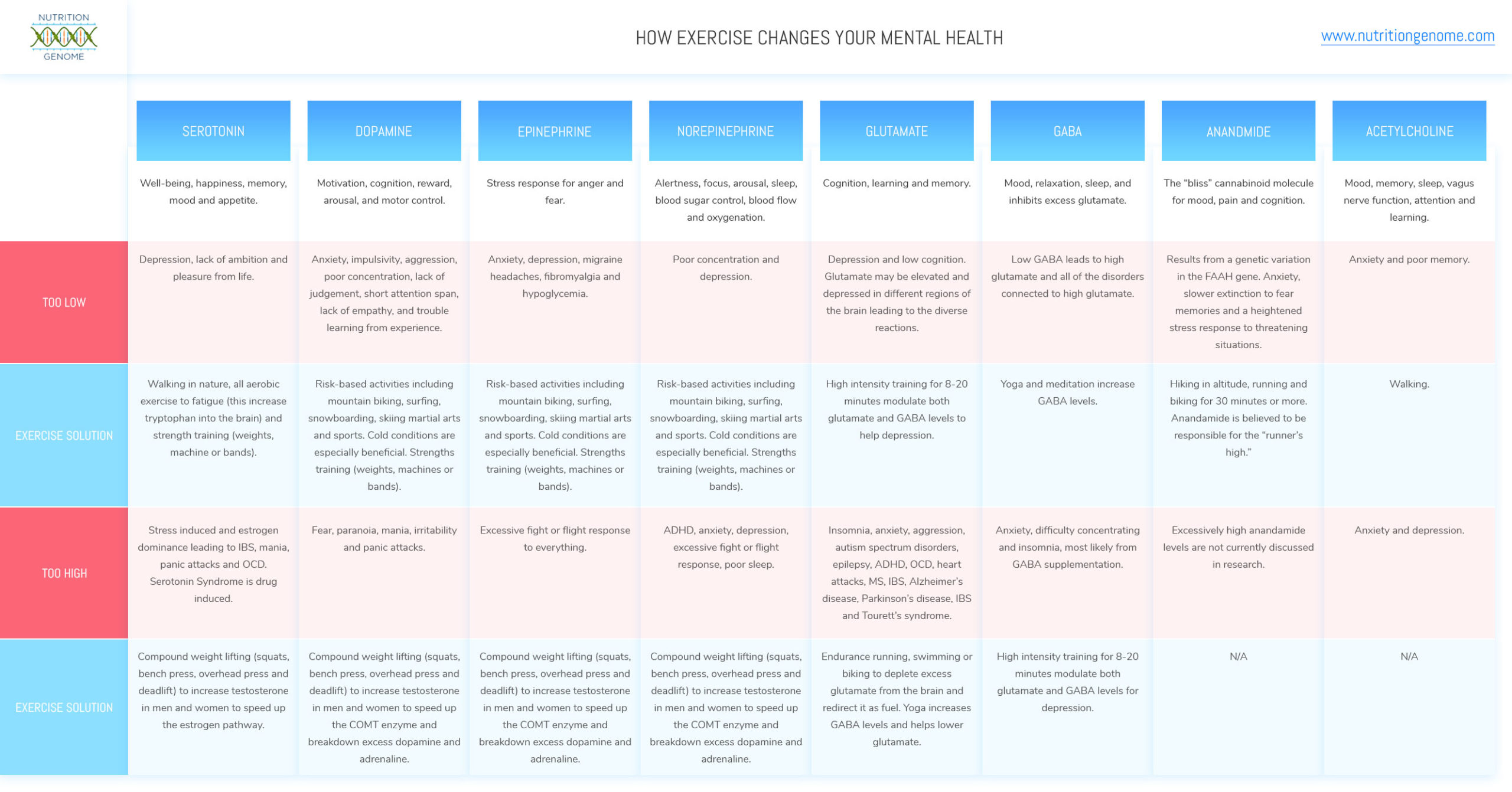 How Exercise Changes Mental Health Final Diagram