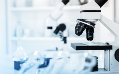 What the Nutrition Research Shows for COVID-19