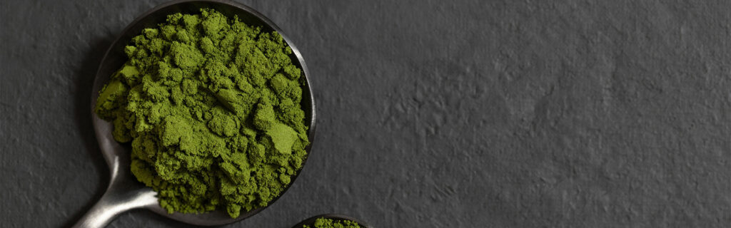 Best Plant-Based Protein Powders