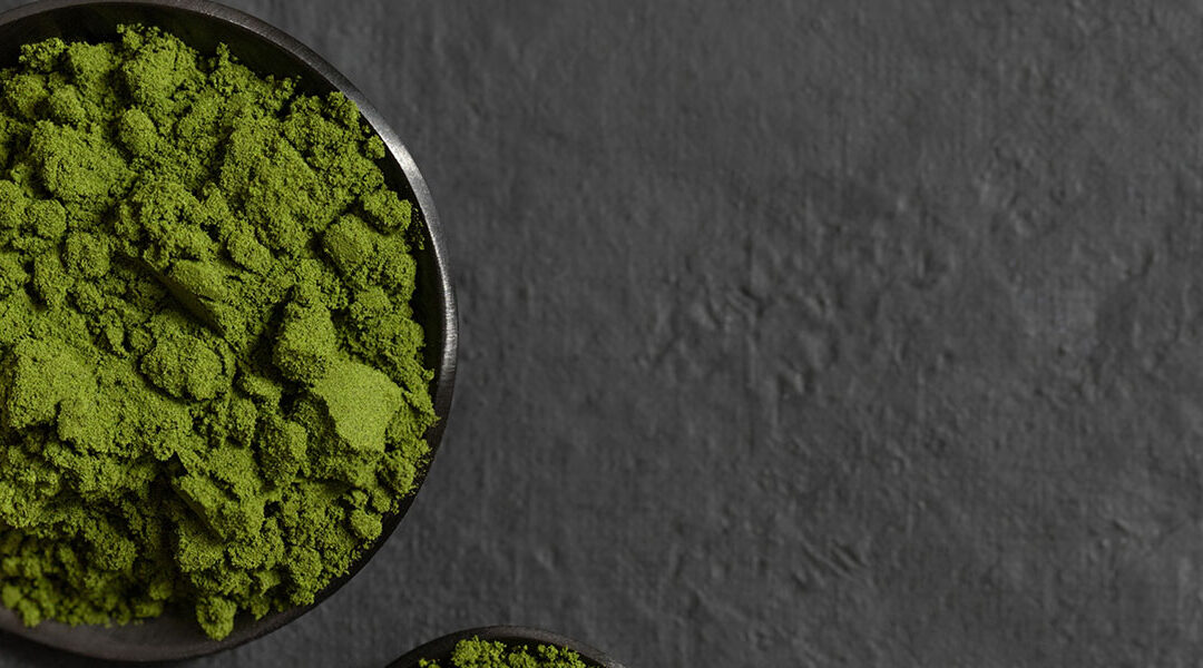 Best Plant-Based Protein Powders