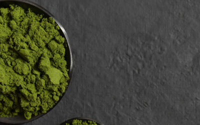 Best Plant-Based Protein Powders