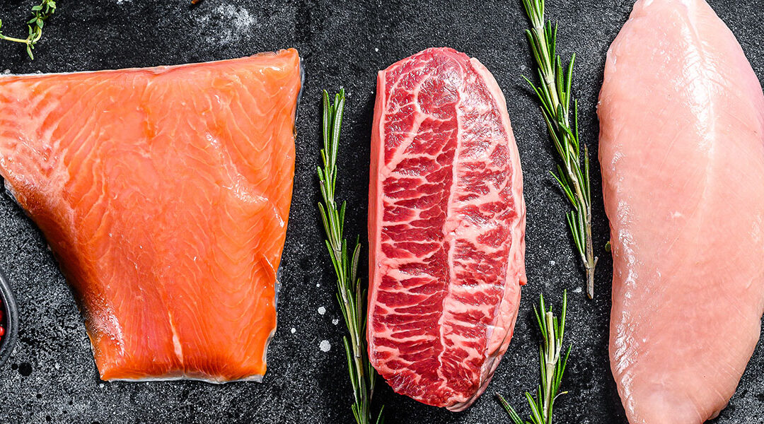 Sports Nutrition 101: The Best Sources of Protein