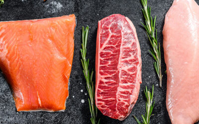 Sports Nutrition 101: The Best Sources of Protein