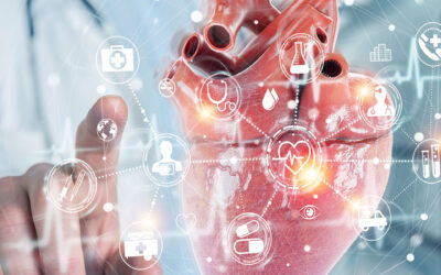 How to Interpret Your Cardiovascular Blood Work in 5 Easy Steps