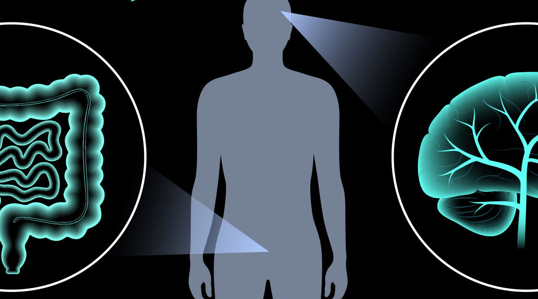 Mental Health Starts in Your Gut, Not your Brain