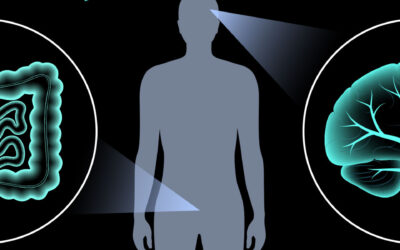 Mental Health Starts in Your Gut, Not your Brain