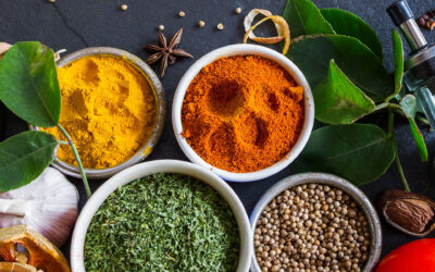 The Latest Fascinating Findings in Anti-Aging Research