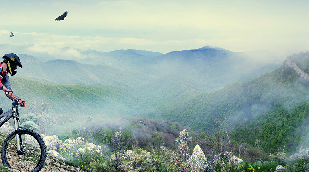 The Best Multivitamins for Athletes and High Performing Executives