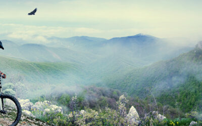 The Best Multivitamins for Athletes and High Performing Executives